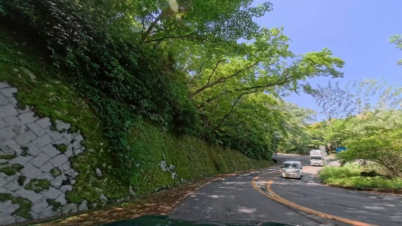頼朝ライン